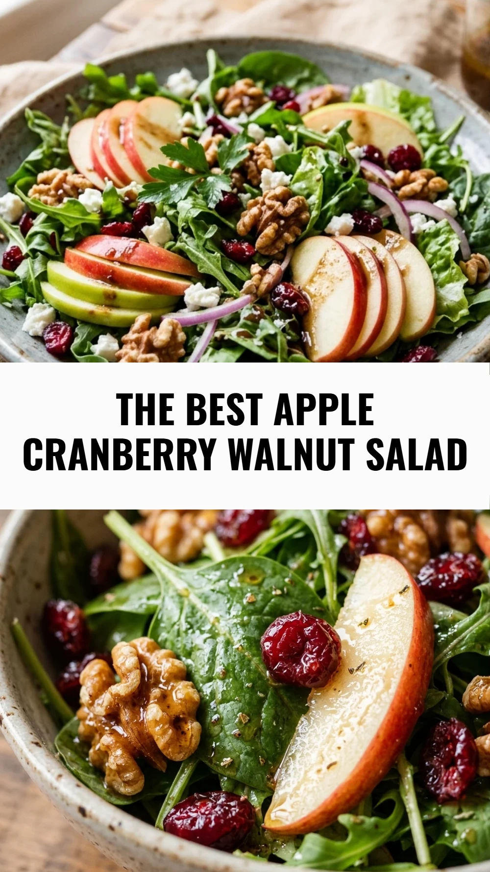 The Best Apple Cranberry Walnut Salad